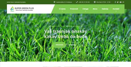 Super green plus - seme trava i zalivanje travnjaka, Kruševac